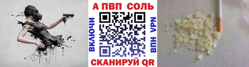 Альфа ПВП СК КРИС Терек