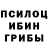 Псилоцибиновые грибы Magic Shrooms Anastasia Khaliullina