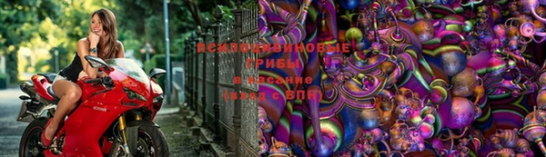 СК Майский